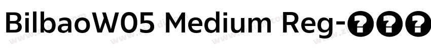 BilbaoW05 Medium Reg字体转换